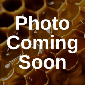 Propolis Capsules